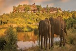 Elephants in front of Victoria Falls Safari Lodge 1920x600