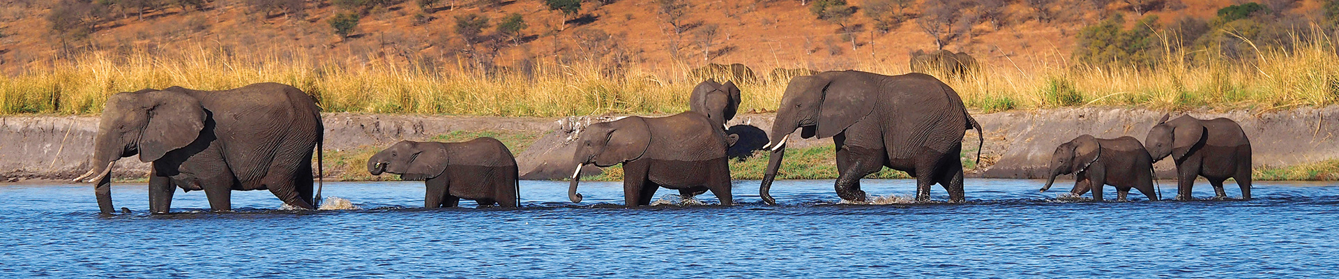 The David Livingstone and Chobe National Park Combo Package (4 Nights)